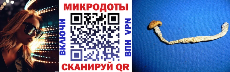 Псилоцибиновые грибы Cubensis  Черепаново 